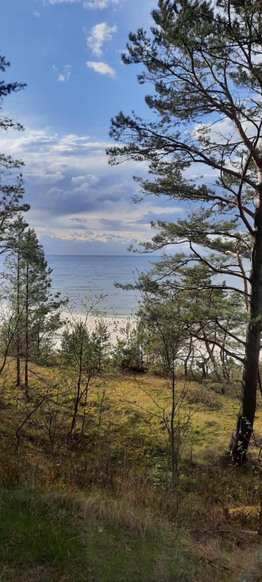 Pokoje Goscinne Nord Krynica Morska Eksteriør billede